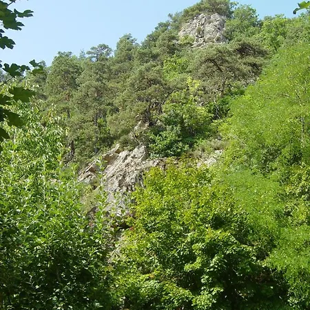 Bed & Breakfast Adonis D'hotes